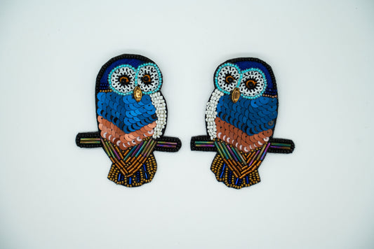 Night Owl Earrings For Fun Look